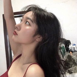 费耶诺德解雇主帅范佩西，管理层终止其合同